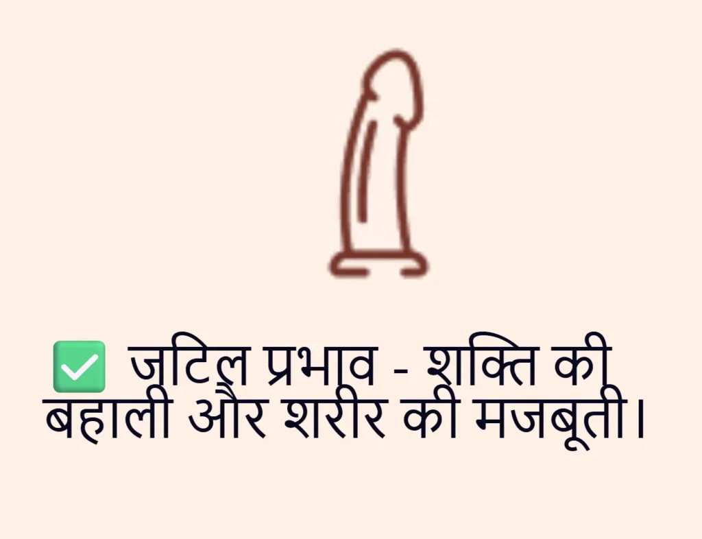 libidex capsule uses